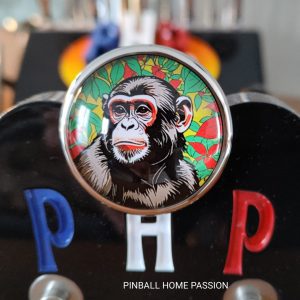 Shooter JUNGLE QUEEN Gottlieb Lance bille personnalisé