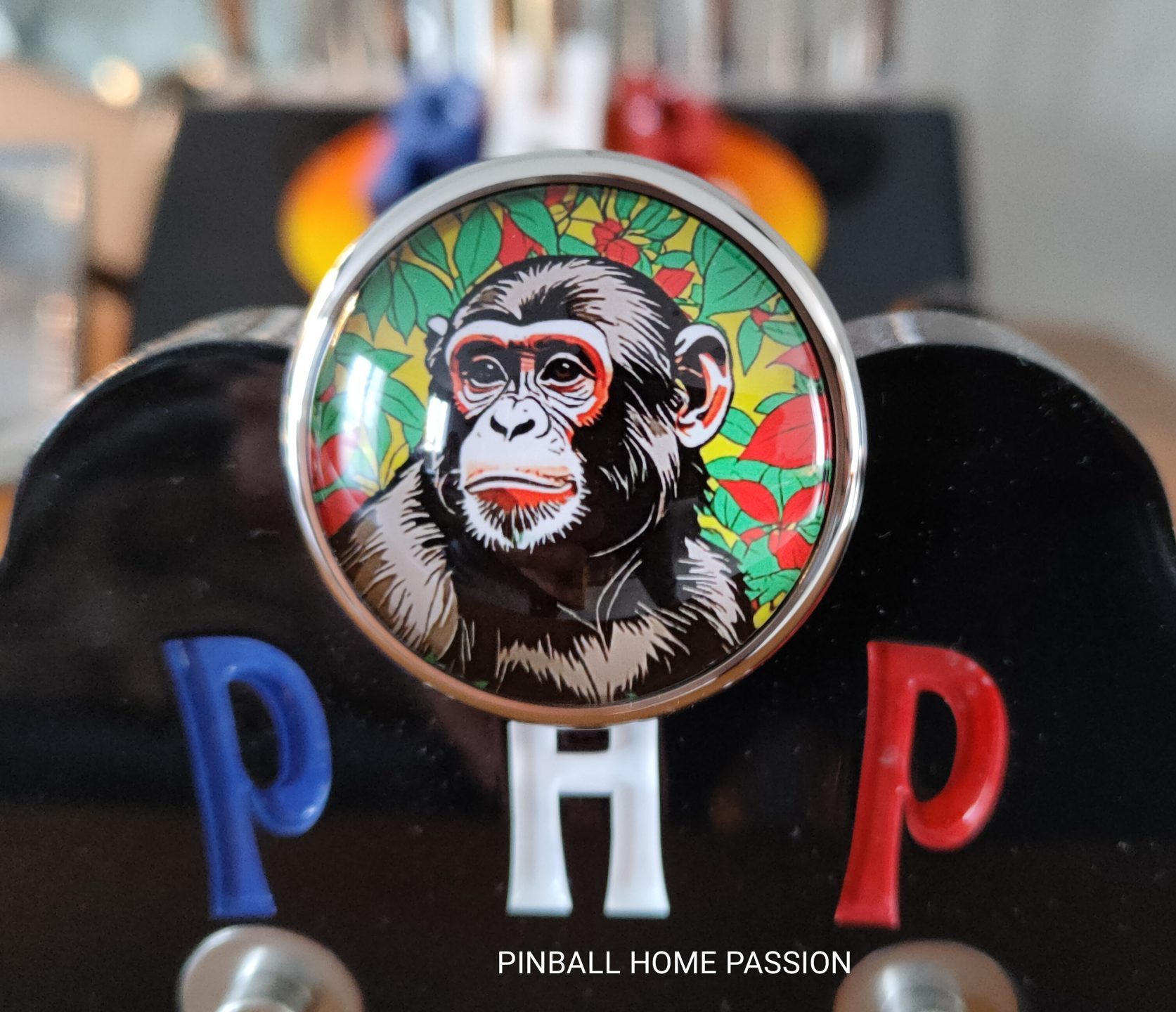 Shooter JUNGLE QUEEN Gottlieb Lance bille personnalisé