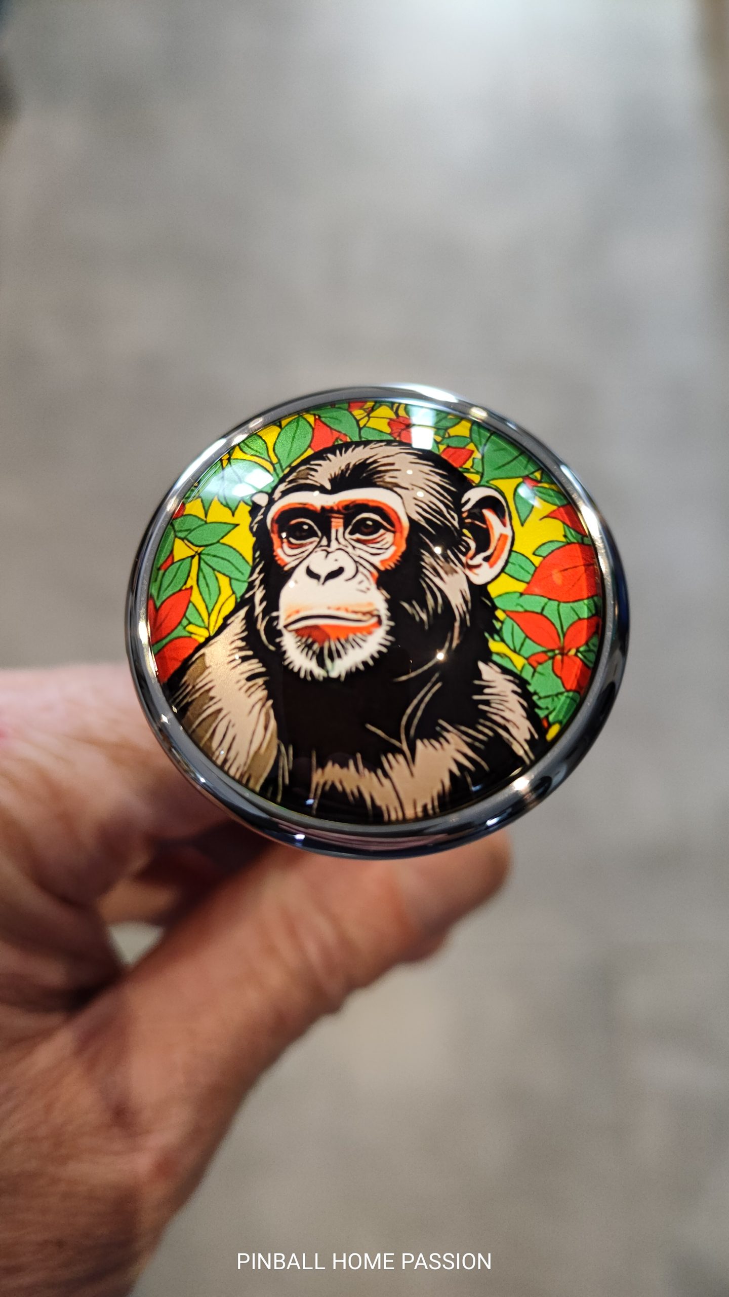 Shooter JUNGLE QUEEN Gottlieb Lance bille personnalisé